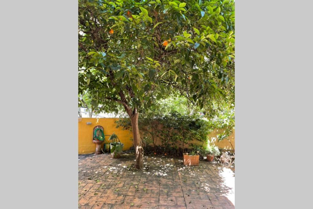 Studio Stay White Room Kalamata Exterior foto